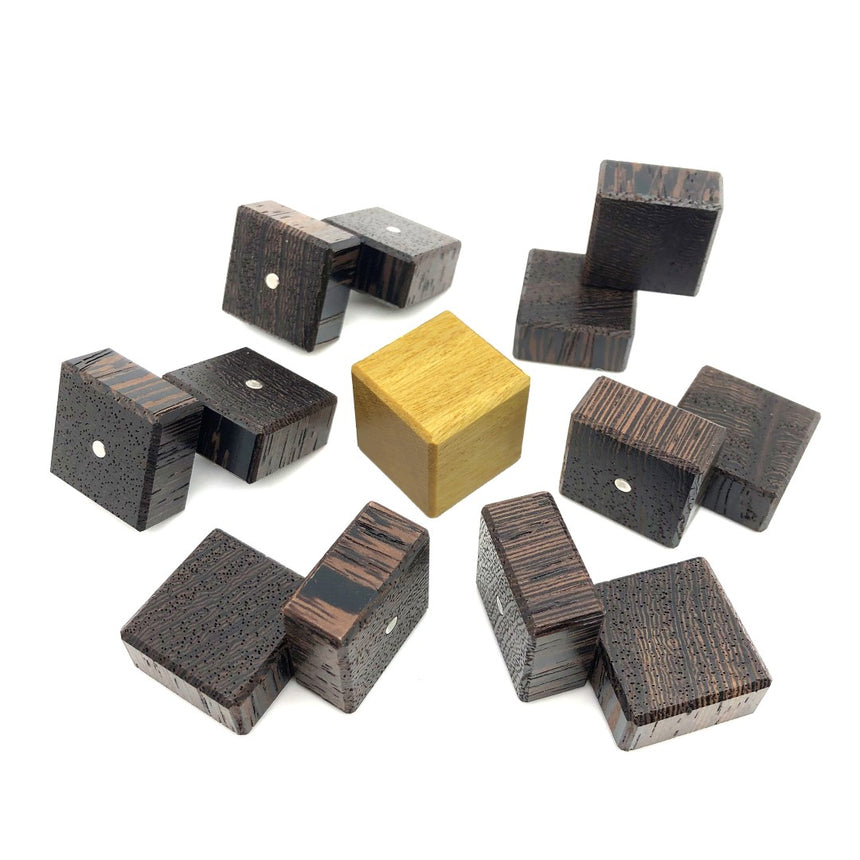 Metal puzzles for adults, 3D puzzles, and physical brain teasers by CubicDissection.