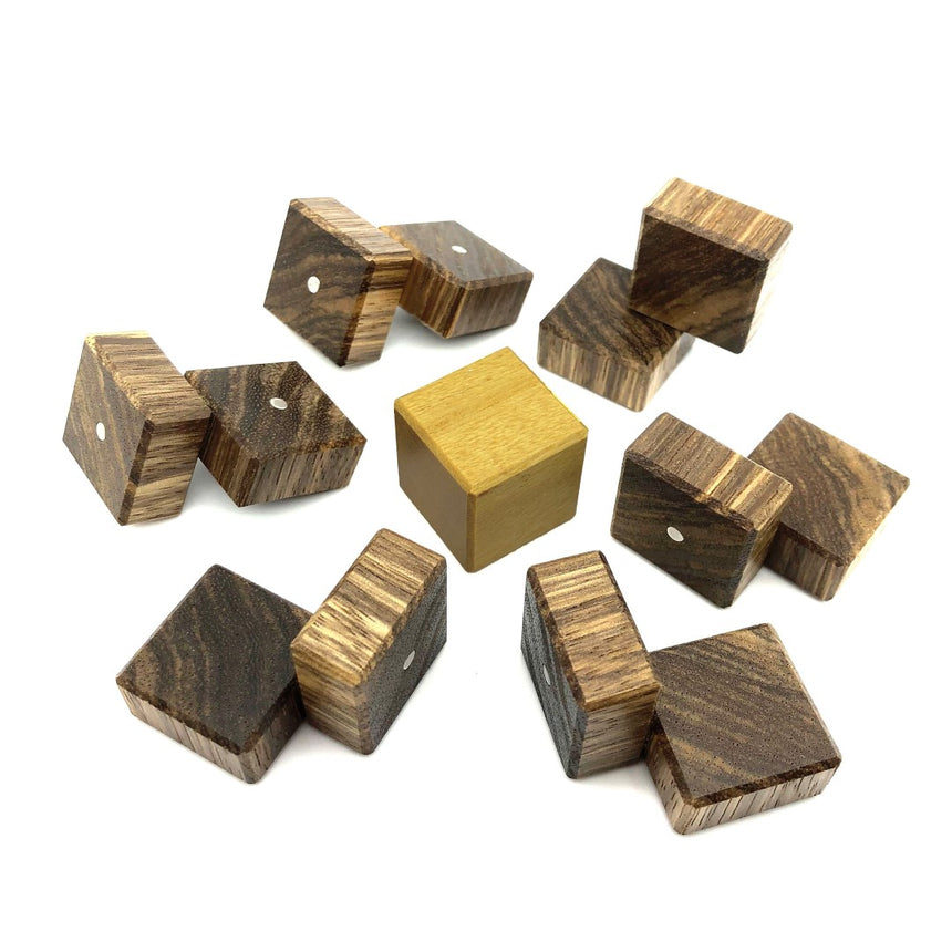 Metal puzzles for adults, 3D puzzles, and physical brain teasers by CubicDissection.