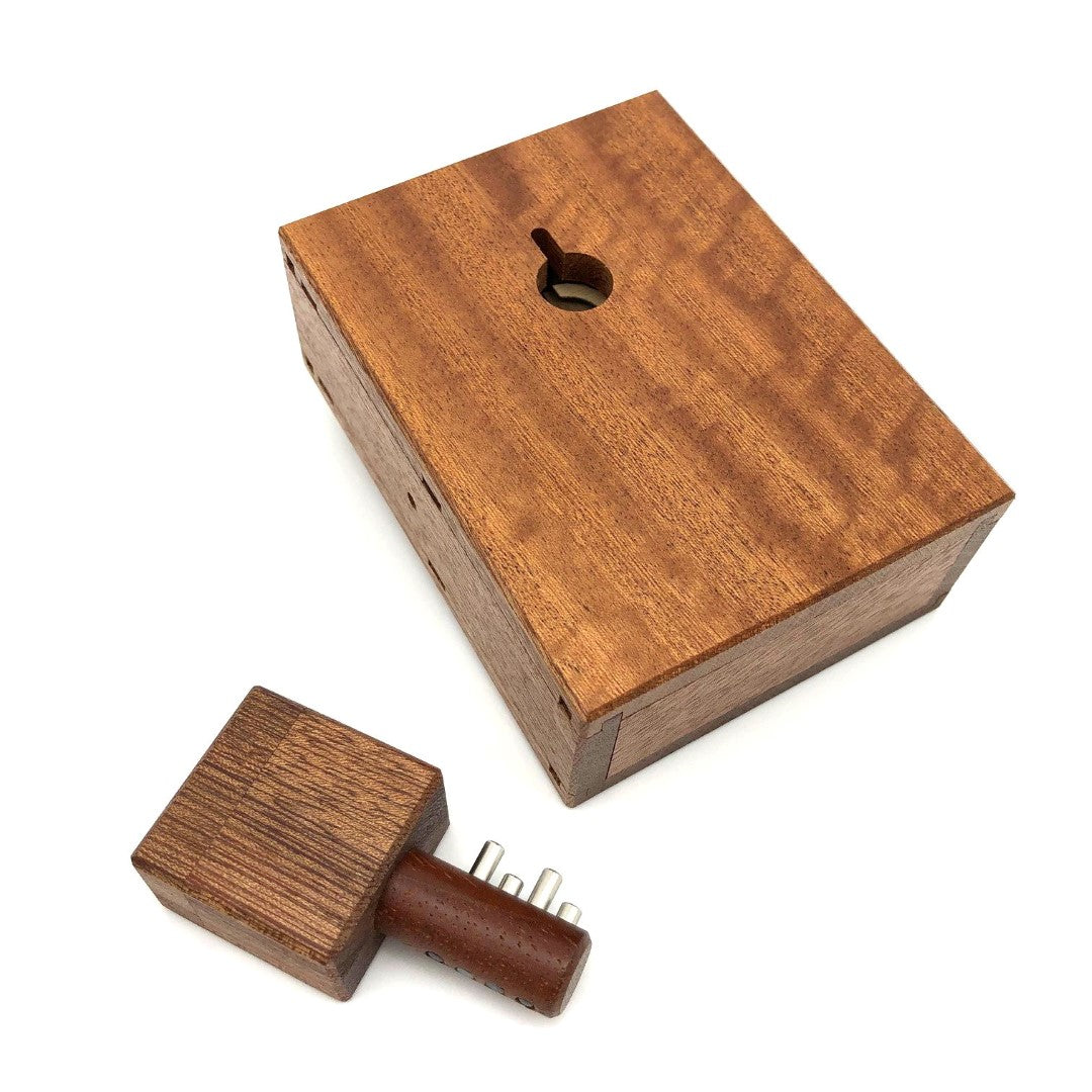 Lock Box Puzzle Box Cubic Dissection Cubicdissection